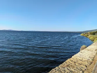 PXL_20230905_160656489.jpg